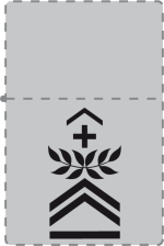 Zippo 209