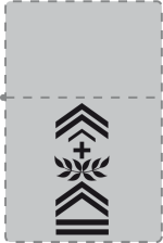 Zippo 213