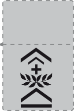 Zippo 207