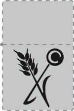 Zippo 269